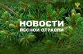 Zabnews.ru: Рослесхоз: Забайкалье вошло в число регионов с высоким риском лесных пожаров летом