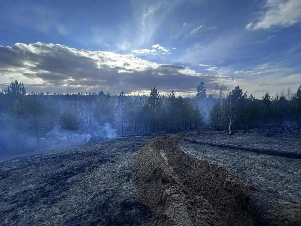 В Бурятии пастух-поджигатель «пообедал» на 200 с лишним тысяч
