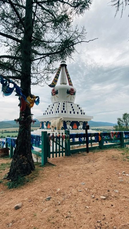 Жители Бурятии выбрали победителя фотопроекта «Моя полиция - моя Россия» Жители Бурятии выбрали победителя фотопроекта «Моя полиция - моя Россия»