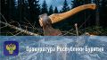 Конфискация автомобиля за незаконную рубку леса: приговор вступил в силу