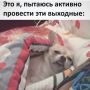 ������ ����). �� ������ ���������� ��������������, 28 ���� �� ����������: ���������� ����������, ����� �������, ���� ��������������� �����, �� ������-������� ������� �����, ������� �����, �������� ����
