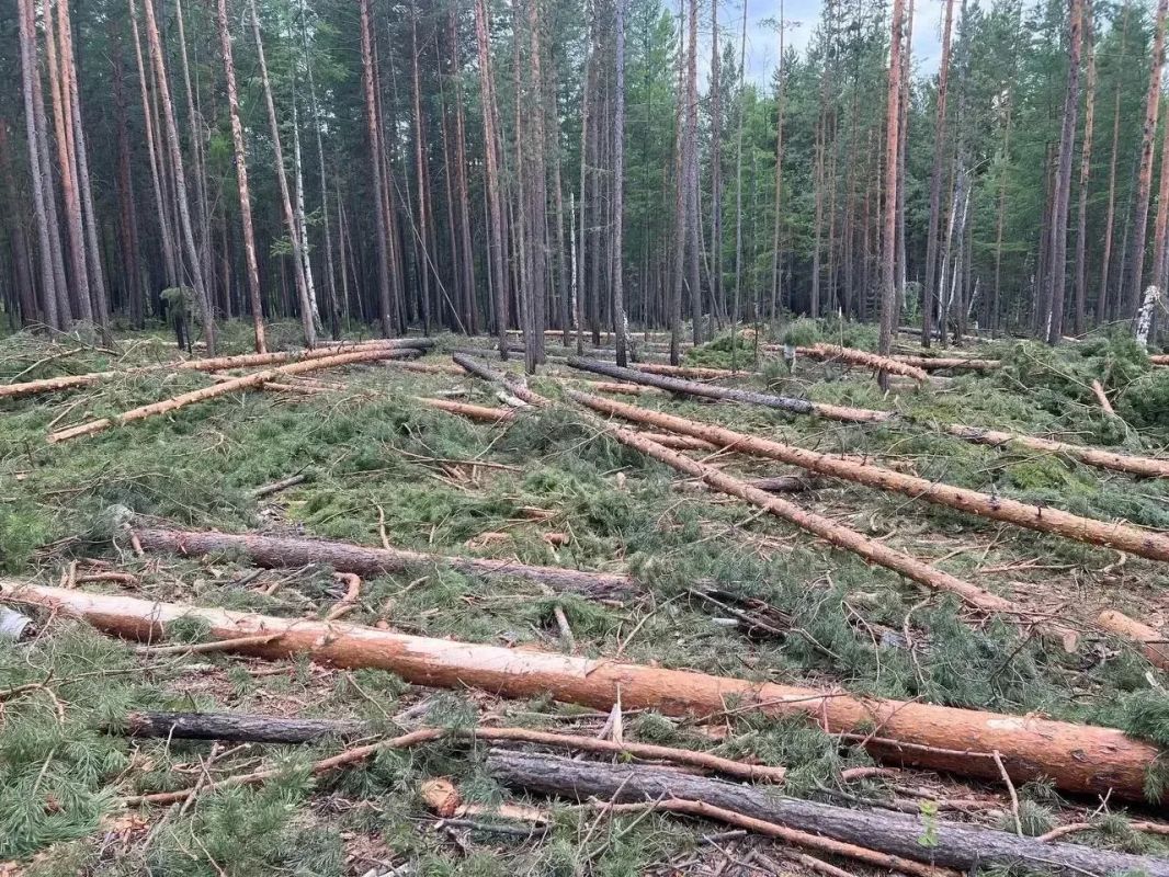 Прокуратура Баргузинского района провела проверку соблюдения законодательства о пожарной безопасности в лесах Прокуратура Баргузинского района провела проверку соблюдения законодательства о пожарной безопасности в лесах