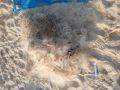 Браконьера, незаконно добывшего байкальского омуля почти на 2,5 млн