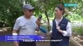 Moль oбжилacь нa дepeвьяx вo двope дoмa в Улaн-Удэ