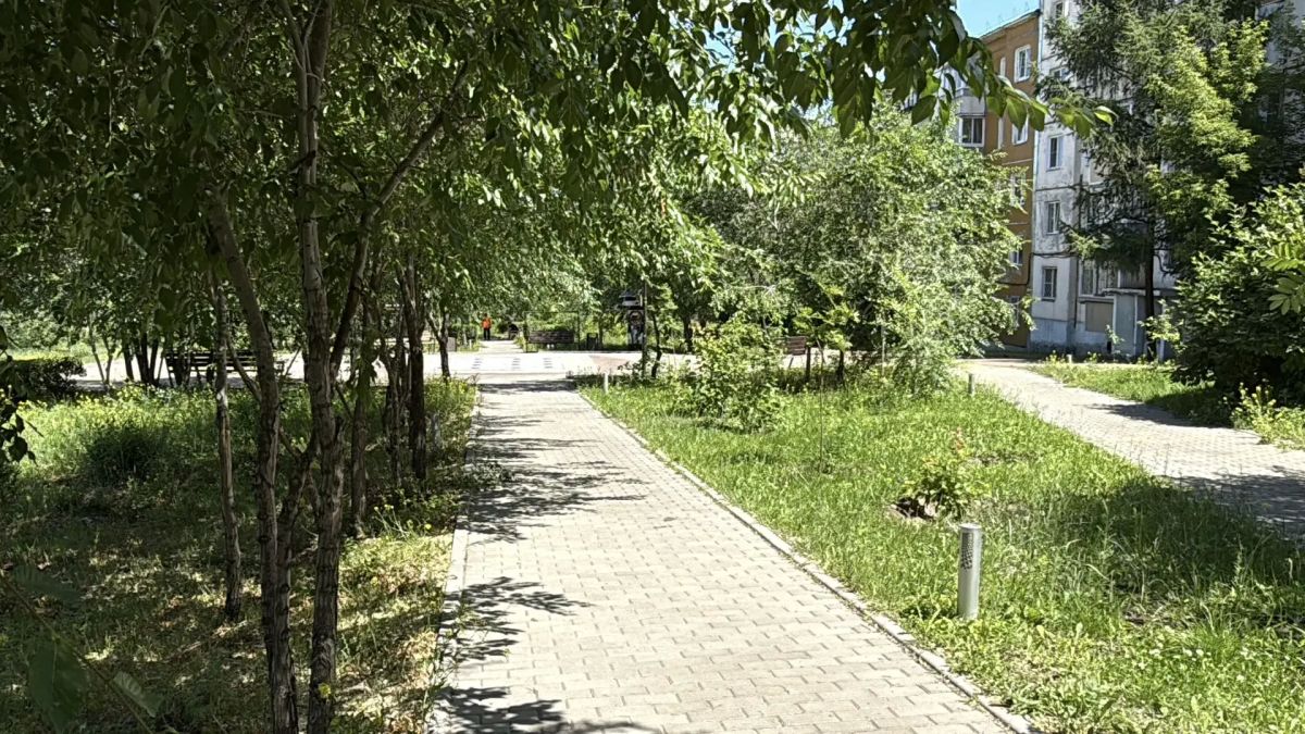 Погода этим летом работает на траву Погода этим летом работает на траву