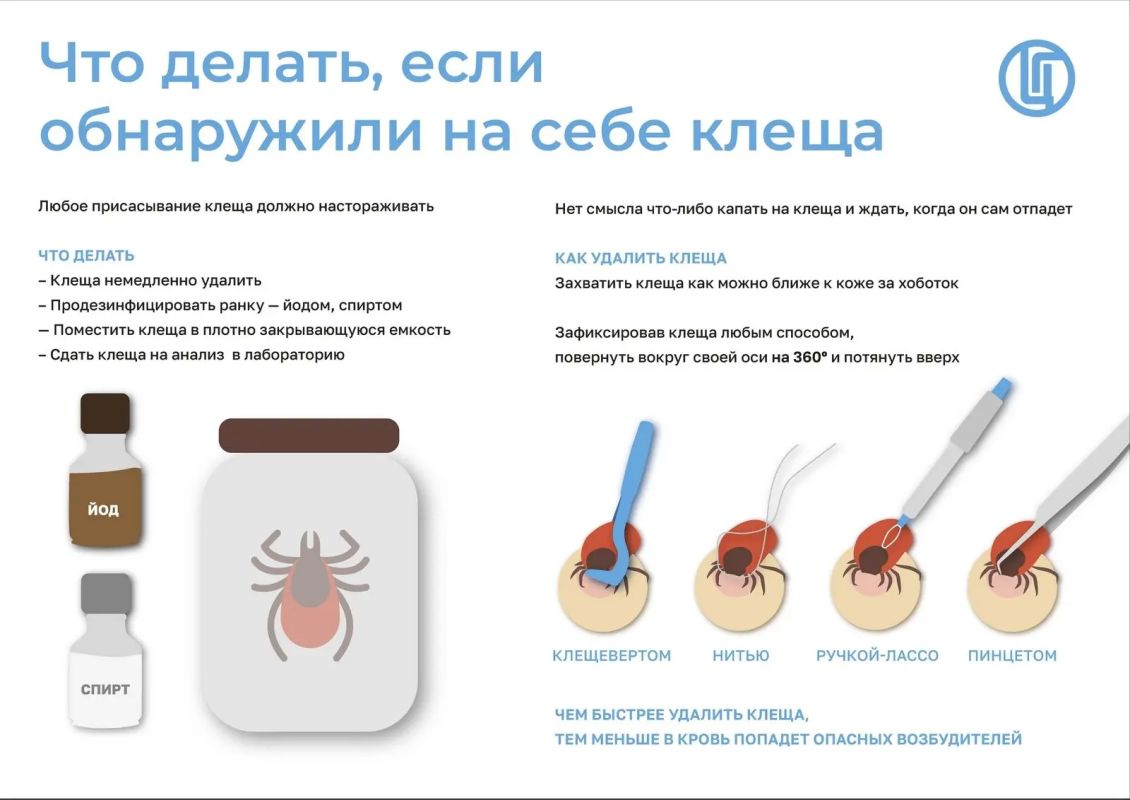 Все заболевшие клещевым энцефалитом в Бурятии оказались непривитыми