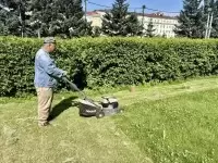В Советском районе косят траву