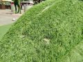 Ремонт одного топиария обходится больше 15 тыс рублей