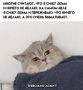 Доброе утро! Это воскресенье обещает быть дождливым и жарким