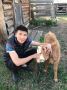 12 литров молока с коровы и масло по бабушкиному рецепту