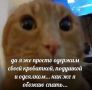 ������ ����! ������� �������)