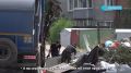 «Задыхаемся от запахов». Свалка разрастается в одном из дворов Улан-Удэ