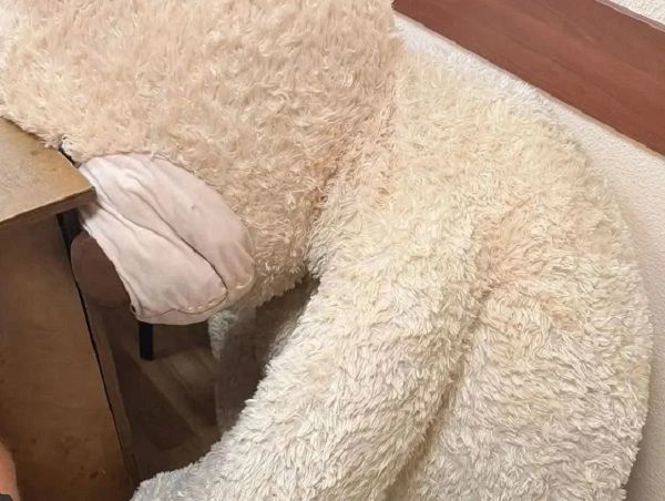 В столице Бурятии украли огромного медведя