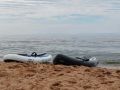 �� ����������: �������, ���� � ���������������� �� ��������� ���������� �����, ������� �����, �����