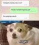 ������ ����) ������� ����� ����������