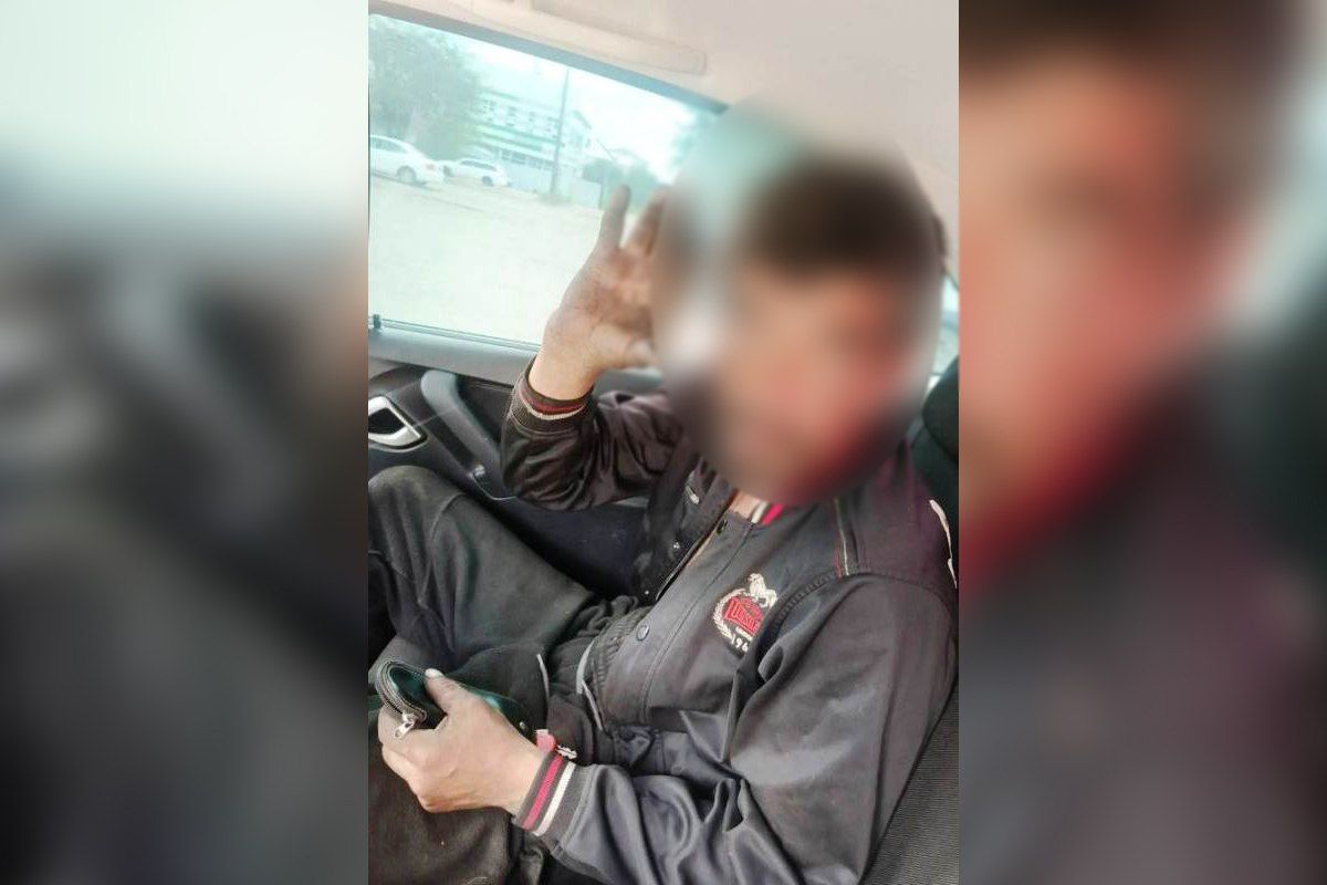 Уланудэнец повесил на столб мертвую кошку