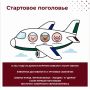 Поросячьи бои и хрюшки-чистюли: факты о свинках, которые вас удивят