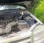 Бурятским бойцам на СВО помогают котики