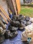 В Бурятии задержали группу браконьеров, незаконно добывавших байкальский омуль