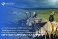 Распоряжением Правительства Российской Федерации № 2071-р внесены изменения в перечень мест традиционного проживания и традиционной хозяйственной деятельности коренных малочисленных народов Российской Федерации, утвержденный...