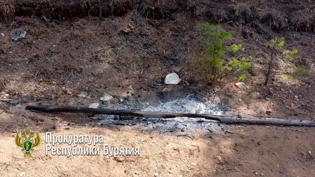 В Баргузинском районе с виновника пожара взысканы затраты на его тушение В Баргузинском районе с виновника пожара взысканы затраты на его тушение