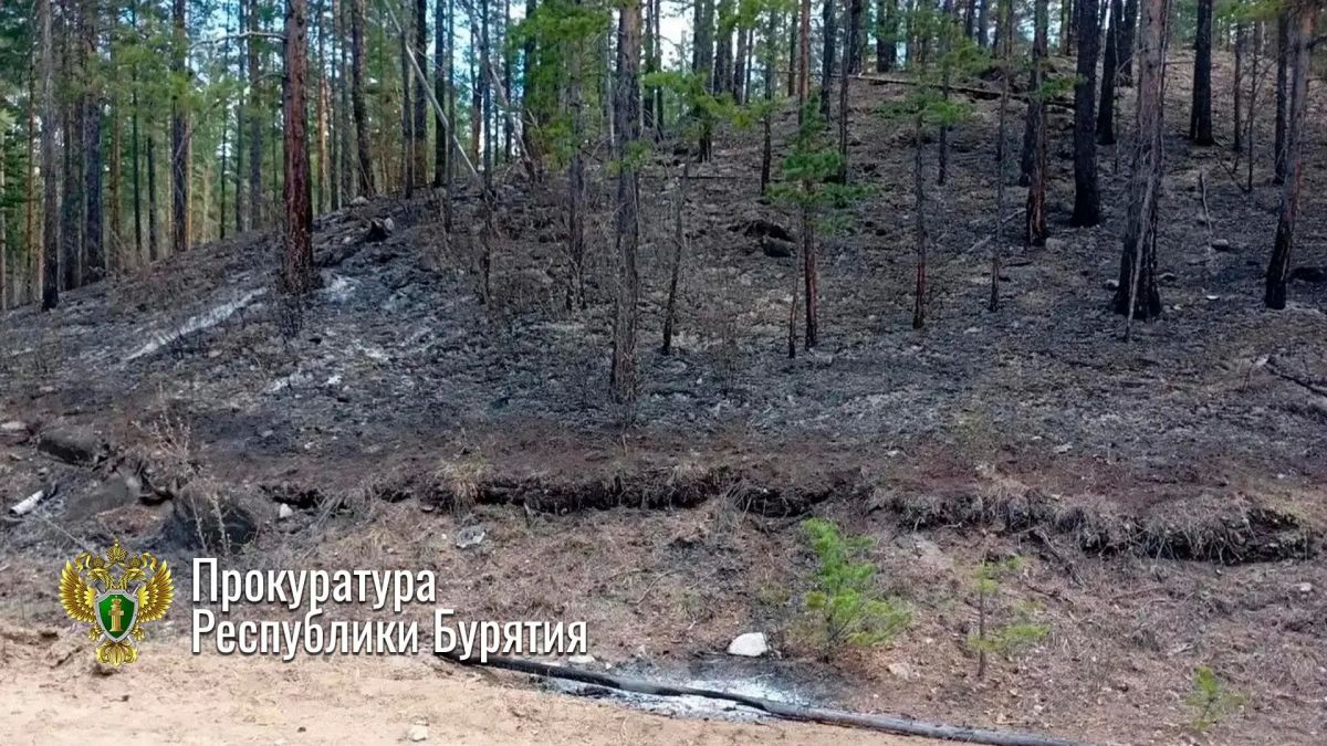 В Баргузинском районе с виновника пожара взысканы затраты на его тушение В Баргузинском районе с виновника пожара взысканы затраты на его тушение