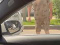 � ����-��� �� ���������� �������� ����� �������