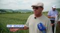 Дроны против насекомых, и как дешево вспахать поле | Репортаж с «Дня Поля-2026»