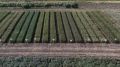 ����� ������� � ������. ��� ��������� �������� ��� ���� ����-2026