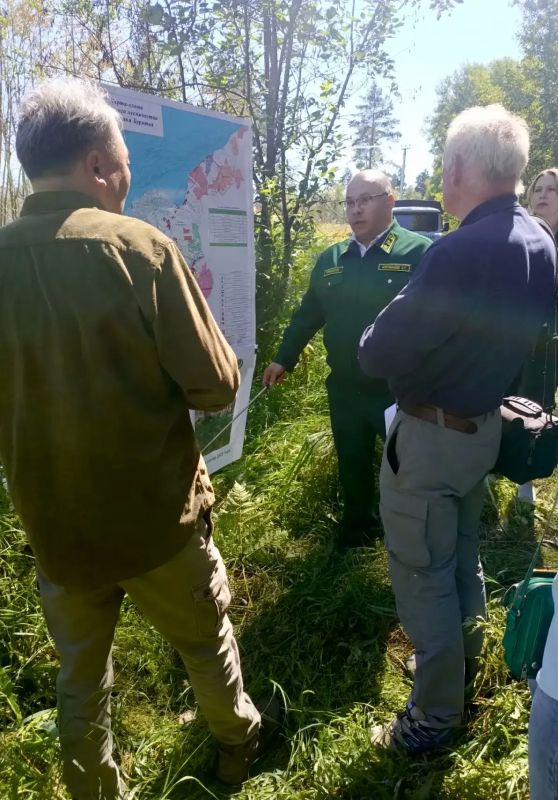 Представители ЮНЕСКО посетили Кабанское лесничество для оценки участков, пострадавших от лесных пожаров Представители ЮНЕСКО посетили Кабанское лесничество для оценки участков, пострадавших от лесных пожаров