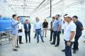 Крупнейший на Дальнем Востоке тепличный комплекс заложил первую партию рассады