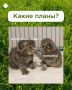 �� ����� ���� �������� ��� ������� � ��� �����������