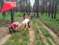 � ������� ��� ������ �������