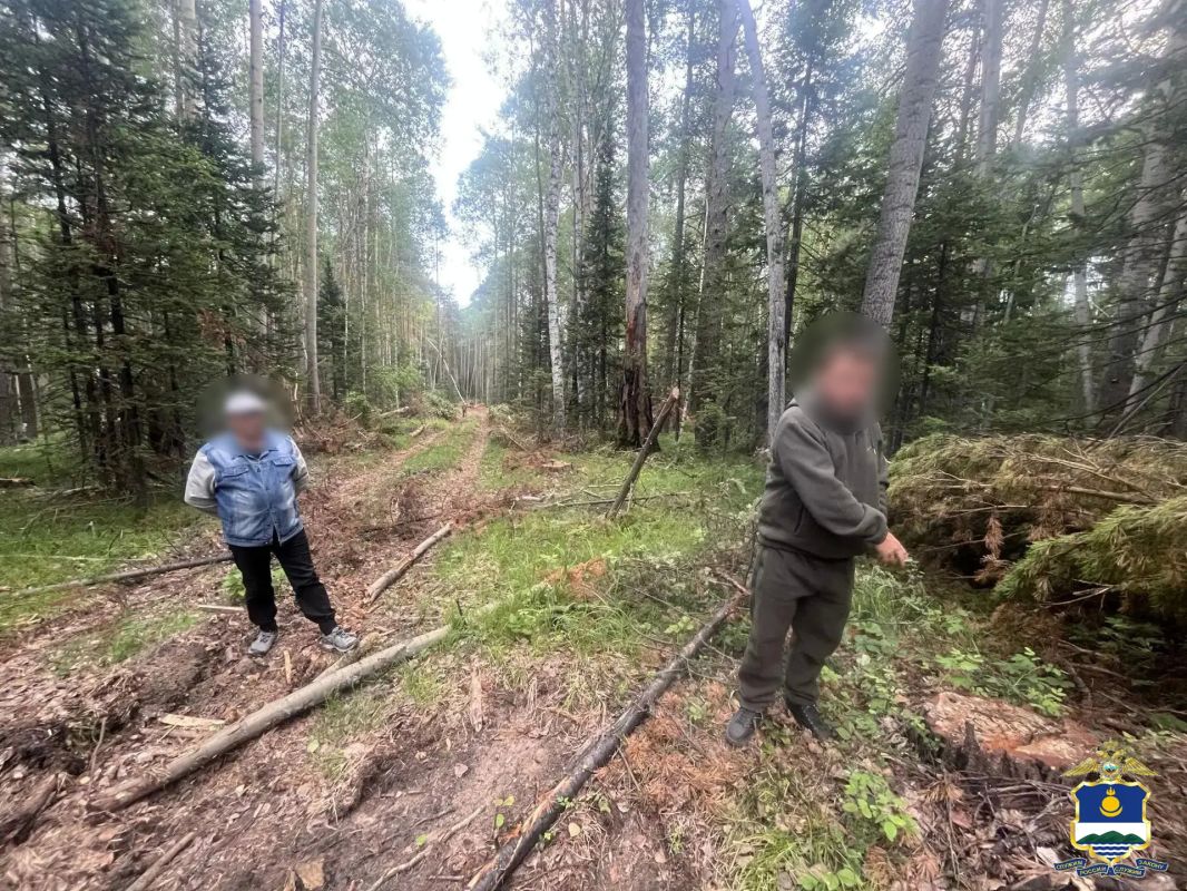 В Бурятии задержан «чёрный лесоруб», который спилил лес на 14,5 млн рублей и продал его за 200 000 рублей В Бурятии задержан «чёрный лесоруб», который спилил лес на 14,5 млн рублей и продал его за 200 000 рублей