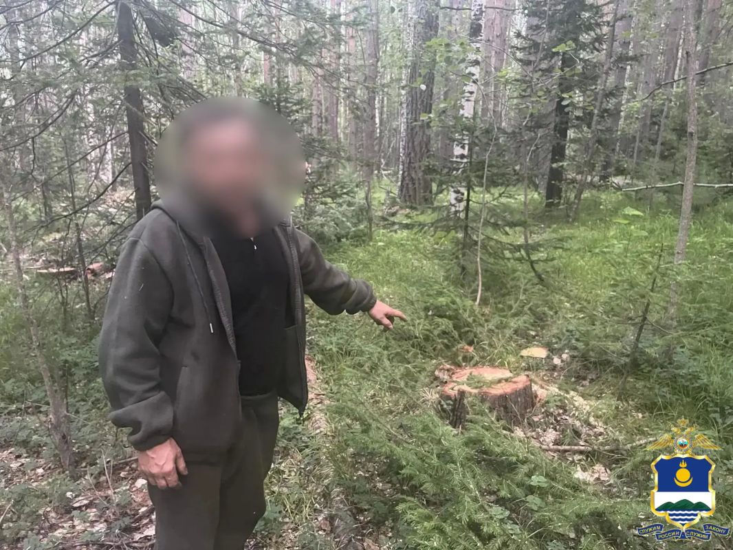 В Бурятии задержан «чёрный лесоруб», который спилил лес на 14,5 млн рублей и продал его за 200 000 рублей В Бурятии задержан «чёрный лесоруб», который спилил лес на 14,5 млн рублей и продал его за 200 000 рублей