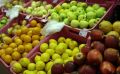Жители Бурятии готовятся к яблочному спасу