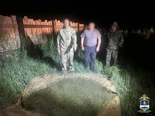 В Бурятии у пастуха изъяли 12 килограммов наркотиков