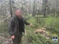 В Бурятии задержали «чёрного лесоруба», который напилил на 14,5 млн