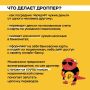 Полицейские задержали подозреваемую в неправомерном обороте средств платежей