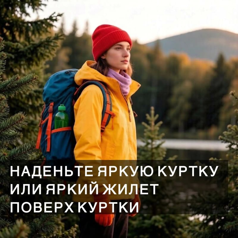 Лисички, подосиновики, маслята… Леса Бурятии так и манят на «тихую охоту»! Лисички, подосиновики, маслята… Леса Бурятии так и манят на «тихую охоту»!