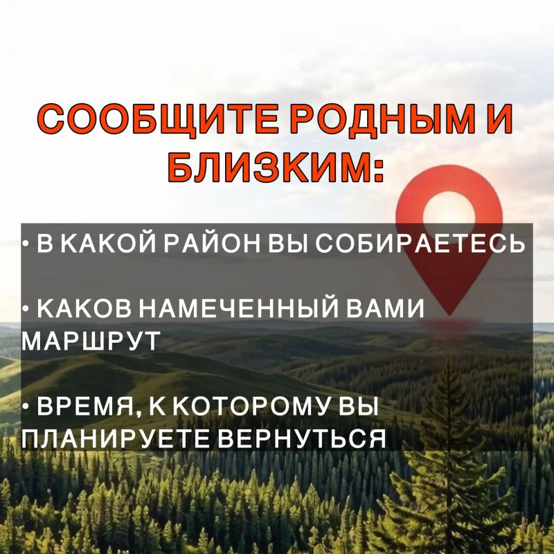 Лисички, подосиновики, маслята… Леса Бурятии так и манят на «тихую охоту»! Лисички, подосиновики, маслята… Леса Бурятии так и манят на «тихую охоту»!
