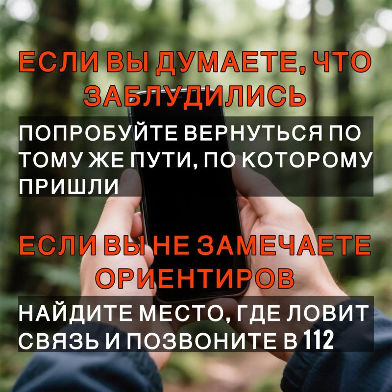 Лисички, подосиновики, маслята… Леса Бурятии так и манят на «тихую охоту»! Лисички, подосиновики, маслята… Леса Бурятии так и манят на «тихую охоту»!