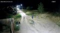 В Улан-Удэ неизвестный на «Мазде» оставил алабая в одном из ДНТ и уехал