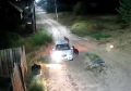 В Улан-Удэ бесчеловечно обошлись с крупной собакой