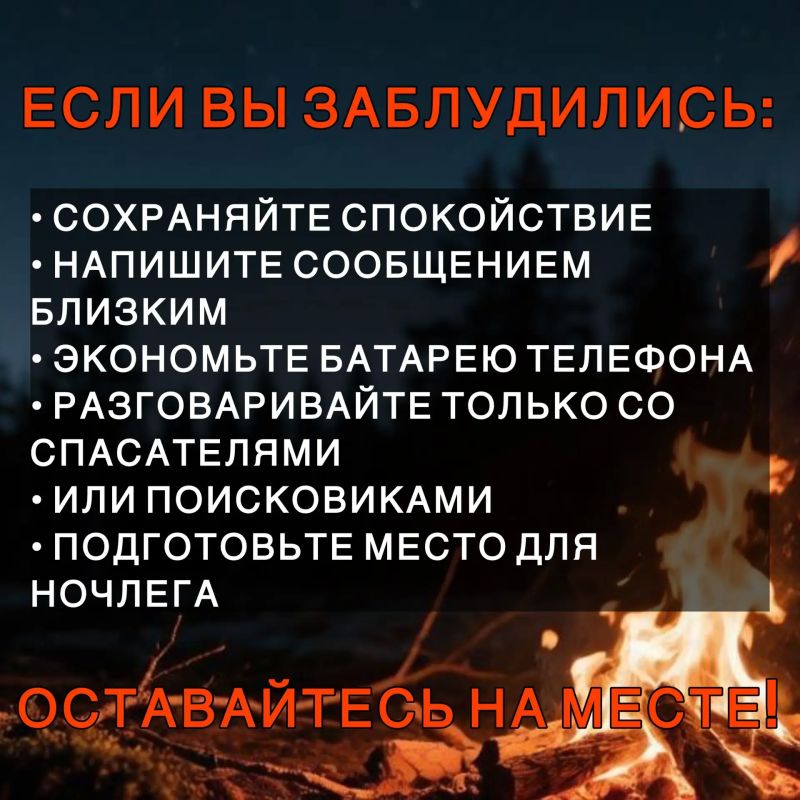 Лисички, подосиновики, маслята… Леса Бурятии так и манят на «тихую охоту»! Лисички, подосиновики, маслята… Леса Бурятии так и манят на «тихую охоту»!