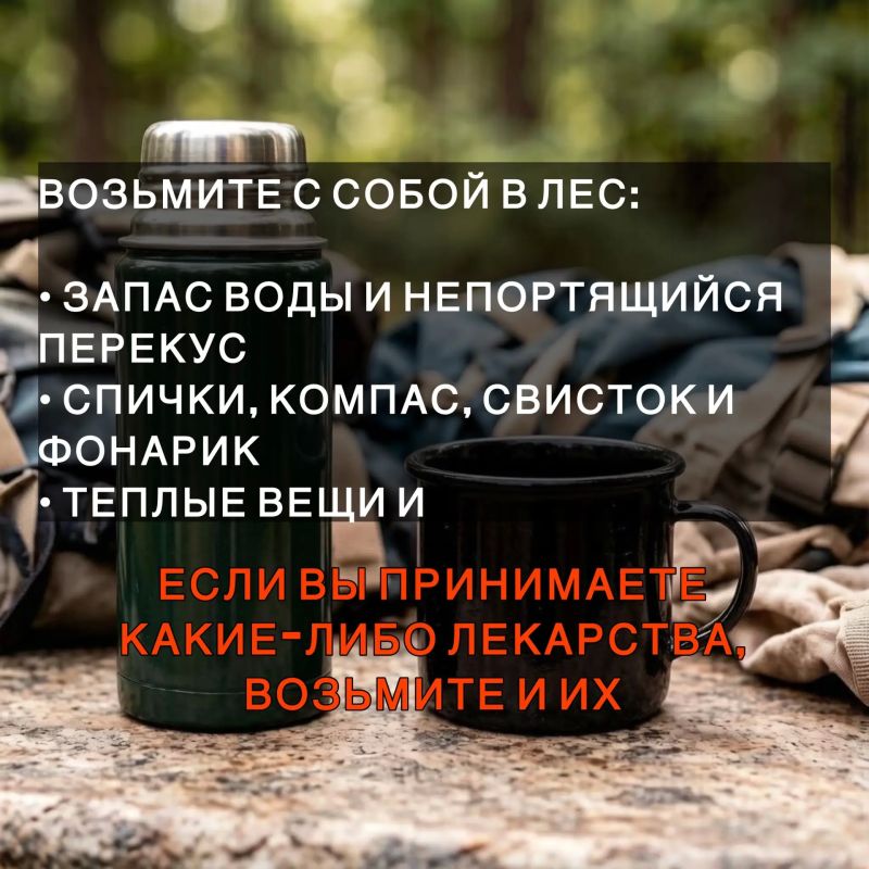 Лисички, подосиновики, маслята… Леса Бурятии так и манят на «тихую охоту»! Лисички, подосиновики, маслята… Леса Бурятии так и манят на «тихую охоту»!