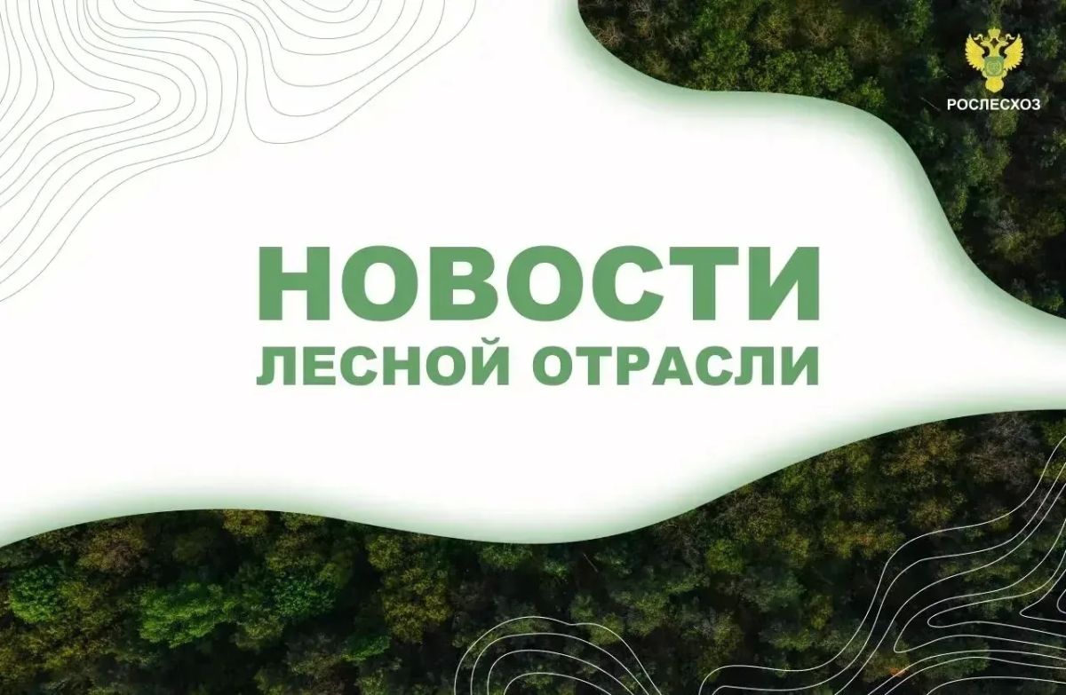 ТАСС: Авиалесоохрана патрулирует с воздуха 74 млн га в Якутии