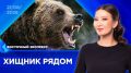 ���������� ����? ���������� ������� ����������� ��������� �� ������ ������ �� ������� ��� ��� ���������: