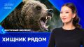 Итоговый выпуск 21 августа 2026 года