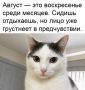 ����������� �����������, ������� ������ �������! ������� � ������� ��������� ��������� ������